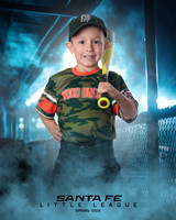 CP5_WOODDUCKS_Mills_Jackson_IMGL8332_DUGOUT
