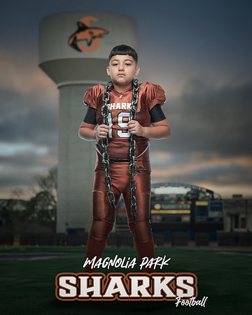 JUNIOR_Mendez_Daniel_IMGL0465_WATER TOWER_