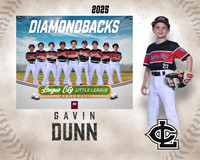AA.Swartz.Diamondbacks_Dunn_Gavin_143A1461_MM_MM