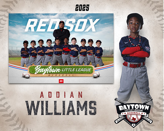 TB_ Red Sox_Williams_Addian_BAY28785_MM