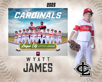 A.Crenshaw.Cardinals_James_Wyatt_IMG_1533_MM_MM