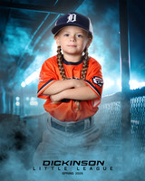 TB_TIGERS_Shafer_Harper_DLL12290_DUGOUT_