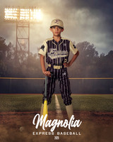 8U_Cespedes_Dominic_MAG28082_FIELDLIGHTS