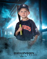 TB_ASTROS_DUES_LUKE_DLL29686_DUGOUT_