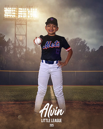 MJR_METS_12U_Orellana_Nicolas_CAM13659_FIELDLIGHTS