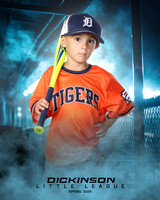 TB_TIGERS_Tiffany_Charles_DLL11643_DUGOUT_