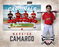 M3_ Cardinals_Camargo_Narsiso_BAY27980_MM