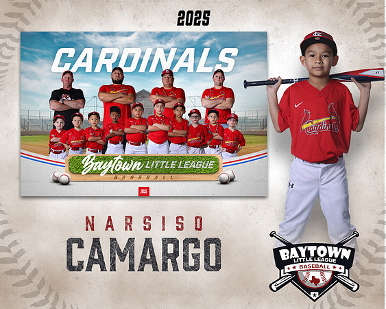 M3_ Cardinals_Camargo_Narsiso_BAY27980_MM