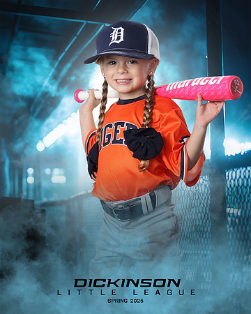TB_TIGERS_Shafer_Harper_DLL12293_DUGOUT_
