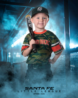 CP5_WOODDUCKS_Tatyrek_Cooper_IMGL8403_DUGOUT