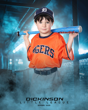 TB_TIGERS_Smith_William_DLL11546_DUGOUT_