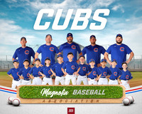 6U_Cubs_McCullen_Gentry