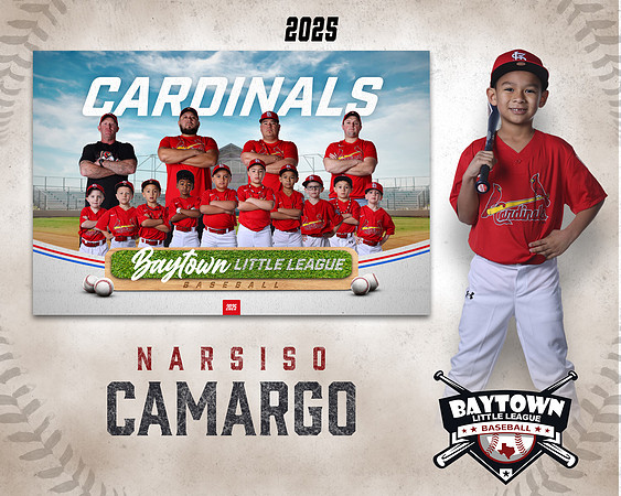 M3_ Cardinals_Camargo_Narsiso_BAY27978_MM