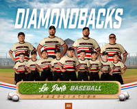 6U_Shetland_Diamondbacks_Luna_Diego