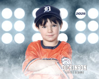 TB_TIGERS_Smith_William_DLL11542_LIT