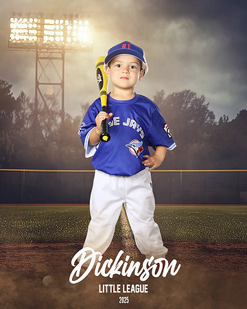 TB_BLUEJAYS_Guzman_Evan_DLL11681_FIELD LIGHTS_