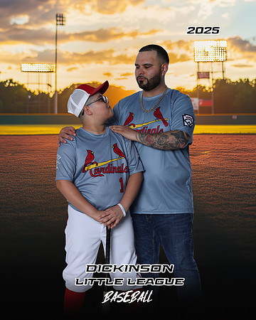 MJR_CARDINALS_Torres_Brody_DLL32822_MULTIS_