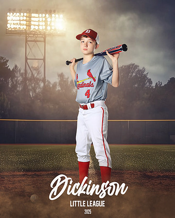 MJR_CARDINALS_Wood_Wyatt_DLL13019_FIELD LIGHTS_
