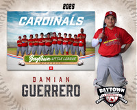 MJR_Cardinals_Guerrero_Damian_BAY29716_MM