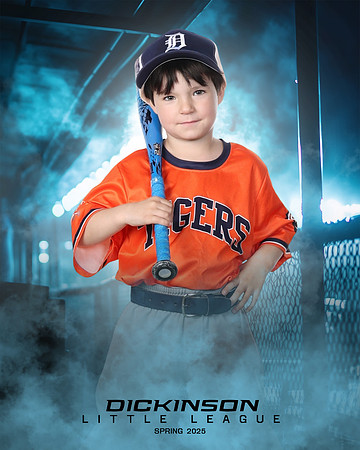 TB_TIGERS_Smith_William_DLL11544_DUGOUT_