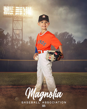 7U_Astros_Ibarra_Hayes_MAG10178_FIELD LIGHTS_