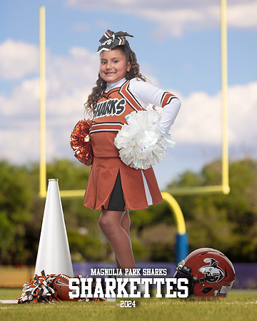 MASCOT_Castellanos_Aimee_IMGL1364_GOAL POST_