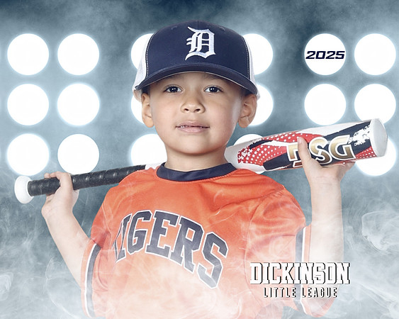 TB_TIGERS_Polk_Maddox_DLL11520_LIT
