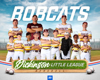 CP8_BOBCATS_Powell_Greysen
