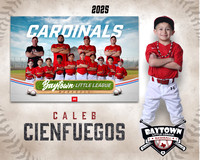M3_ Cardinals_Cienfuegos_Caleb_BAY28068_MM