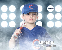 6U_Cubs_McCullen_Gentry_MAG11534_LIT