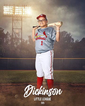 MJR_CARDINALS_Torres_Brody_DLL13158_FIELD LIGHTS_