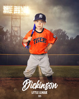 TB_TIGERS_ROUSER_Landon_DLL11525_FIELD LIGHTS_