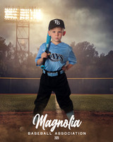 4_5U_Rays_Stephens_William_MAG25468_FIELD LIGHTS_