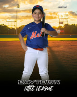 MJR_Mets_Guzman_Isaac_BAY14176_SUNSHINE