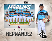 MJR.Dickson.Marlins_Hernandez_Michael_SF_27434_MM