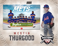 M2_ Mets_Thurgood_Westin_BAY12777_MM