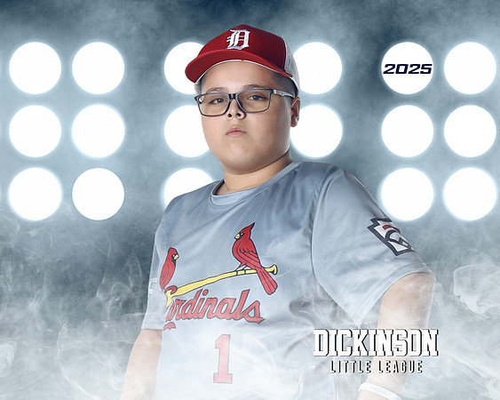 MJR_CARDINALS_Torres_Brody_DLL13161_LIT