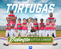 MINORS_TORTUGAS_Wright_Karson