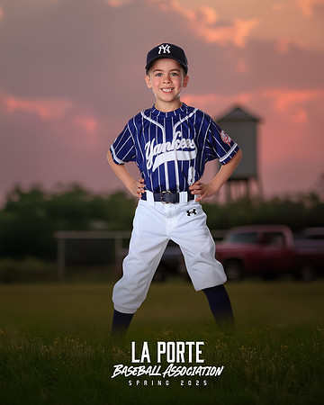 6U_Shetland_Yankees_Diaz_Damon_LP010749_TRUCK