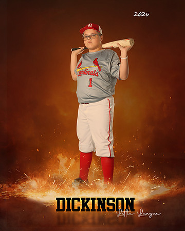 MJR_CARDINALS_Torres_Brody_DLL13159_ROF