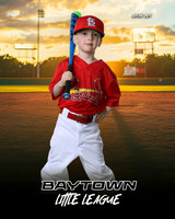 M3_ Cardinals_Bain_Rhett_BAY27996_SUNSHINE