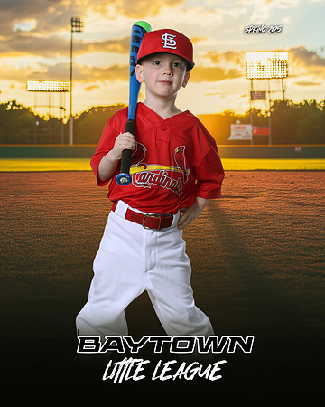 M3_ Cardinals_Bain_Rhett_BAY27996_SUNSHINE