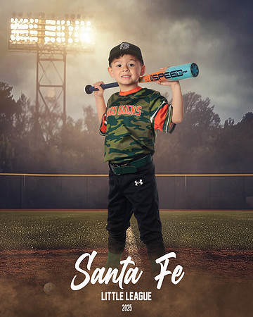 CP5_WOODDUCKS_Taboada III_Angel_IMGL8385_FIELDLIGHTS
