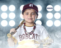CP8_BOBCATS_Powell_Greysen_DLL12331_LIT