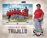 M1_Cardinals_Trujillo_Benjamin Noah_BAY14318_MM