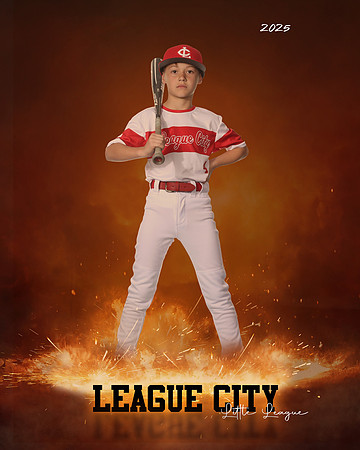 AAA.Lutz.Cardinals_Frankovich_Carter_IMG_1992_ROF