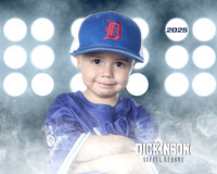 TB_BLUEJAYS_Kovacevich_Graceson_DLL11653_LIT