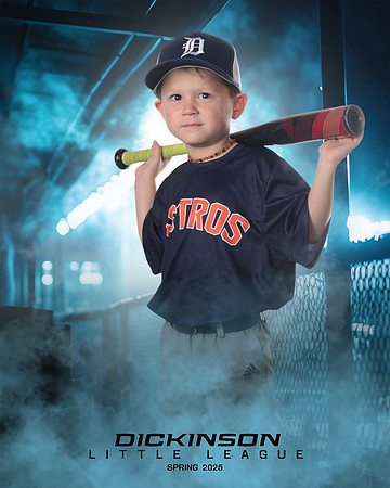 TB_ASTROS_DUES_LUKE_DLL29688_DUGOUT_