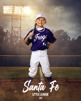 CP7_FROGS_Hanssard_Lincoln_SF110974_FIELDLIGHTS