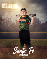 CP5_WOODDUCKS_Robinson_Kade_IMGL8352_FIELDLIGHTS